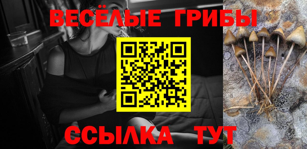 Кумертау  Галлюциногенные грибы Psilocybe  Вход с VPN 